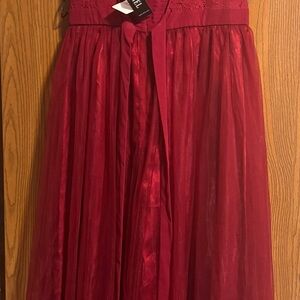 Elegant lace bodice A-Line Dress NWT